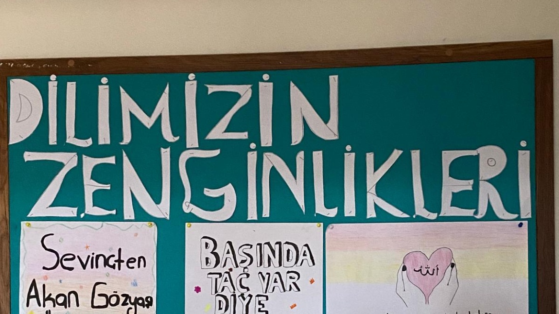 Dilimizin Zenginlikleri